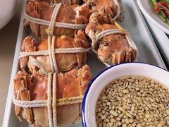 -乡乐园蟹庄·阳澄湖农家乐