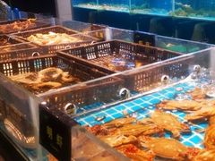 -九月海·海鲜自助(世纪东方店)