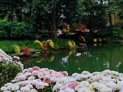-杭州植物园