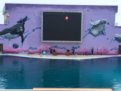 -北戴河圣蓝海洋公园