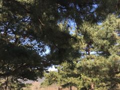 -北京植物园-展览温室