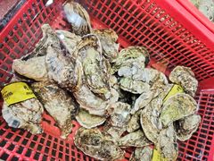 -巽寮印象美食部落餐厅·海鲜·地方特色菜(惠州体验店)