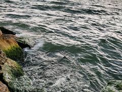 -大理洱海