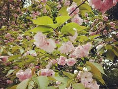 -长沙市青少年宫