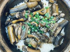 -红星光发煲仔饭(大石街店)
