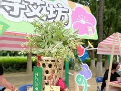 -宝岩生态观光园