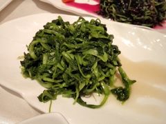-西郊5号·Maggie 5