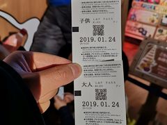 -东京塔海贼王主题公园
