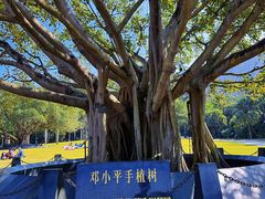 -深圳仙湖植物园