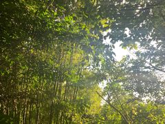 -海南槟榔谷黎苗文化旅游区