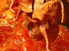 -三江两海老火锅(北京首店)