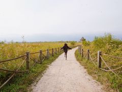 -野鸭湖国家湿地公园