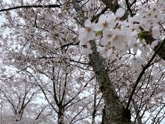 -长田漾湿地公园