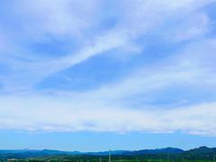 -敕勒川草原