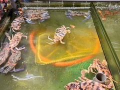 -大茄来海鲜餐厅(亚洲城分行)