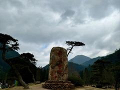 -姑婆山旅游区