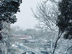 -江南天池