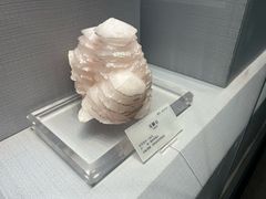 -湖南省地质博物馆