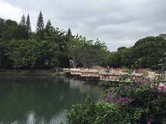 -深圳龙潭公园