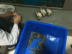-蟹小姐节气生鲜·年货(高新店)