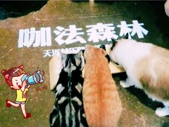 -咖法森林·咖啡  酒吧(天河店)