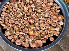 -双喜农庄·菌香园(安居家园店)