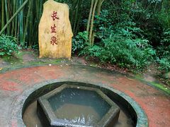 -大屏嶂森林公园