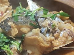-九道菜有鸡鱼头(石鼓路店)