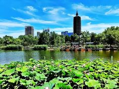 -西海子公园