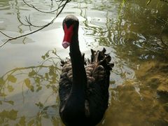 -千岛湖东南湖区