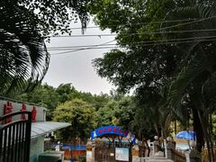 -良成狗狗乐园