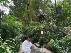 -青城道汤池