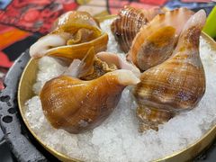 海螺-1218 GRILL 主厨