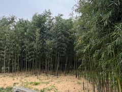 -南京市江宁方山