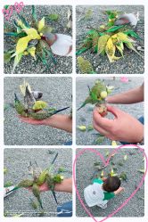 -萌宠亲子动物乐园(槐房万达店)