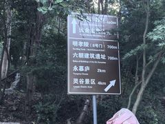 -紫金山山顶公园