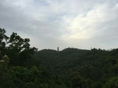 -大雁山风景区