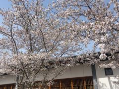 -嘉北郊野公园