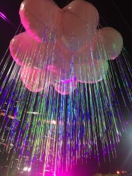 -美奇丝私人定制