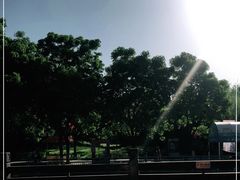 -武汉园博园(武汉自然博物馆)