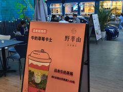-野萃山·潮汕厚果汁(十亩地店)