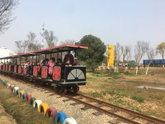 -武汉紫薇都市田园