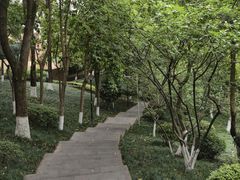 -龙头寺公园