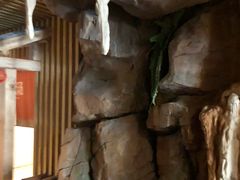 -御池园(顾村公园店)