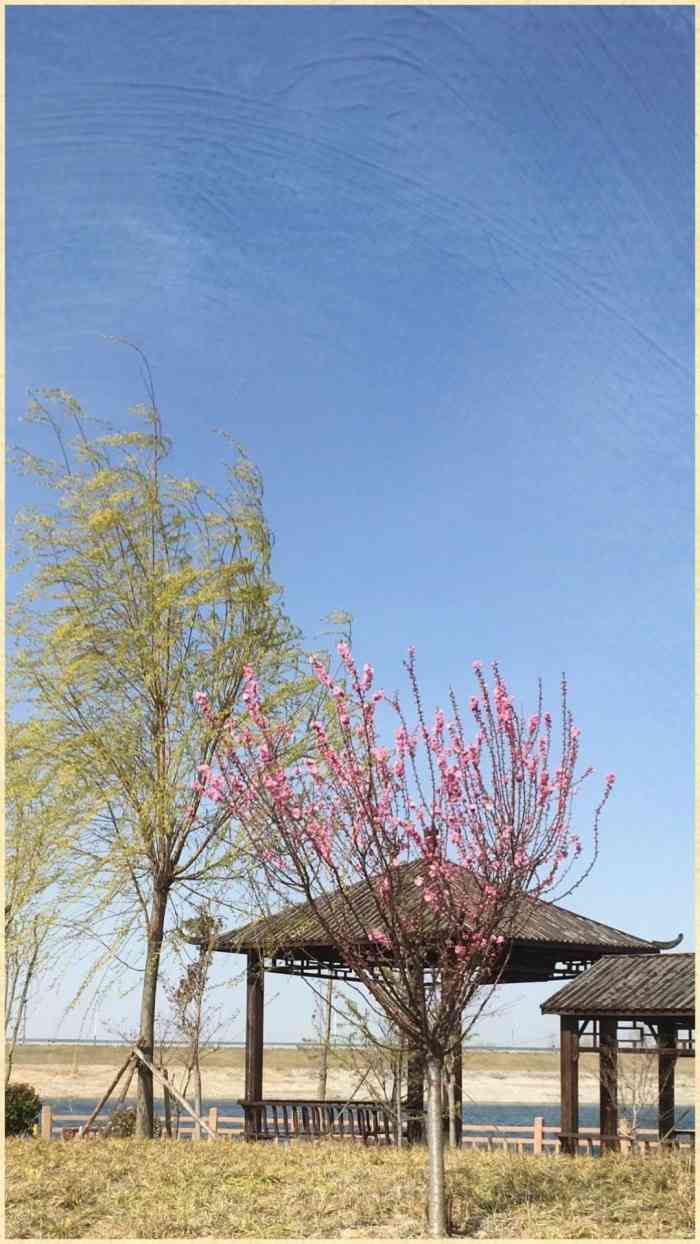 鹿鸣岛景区-"今天八月十五国庆假期第一天带着老婆孩子和.