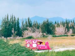 -盐湖景区