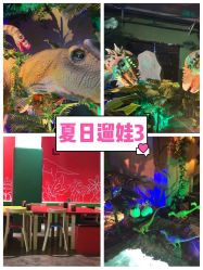 -恐龙探索乐园(磁器口店)