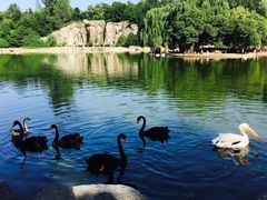 -西安秦岭野生动物园