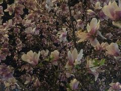 -一手店(五道口店)