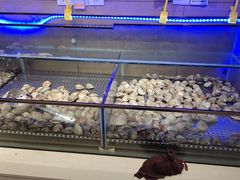 -蒙肥羊·酸汤潮牛·鲜牛肉火锅烤肉自助(岗顶店)